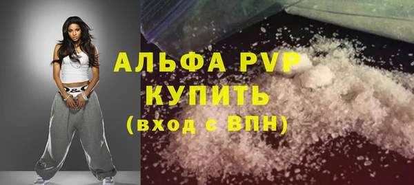 индика Володарск