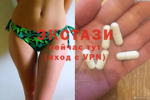 индика Володарск