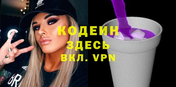 индика Володарск