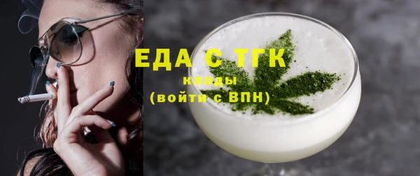 индика Володарск