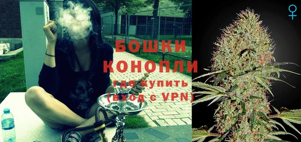 индика Володарск