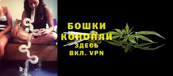 ГАЛЛЮЦИНОГЕННЫЕ ГРИБЫ Вязники