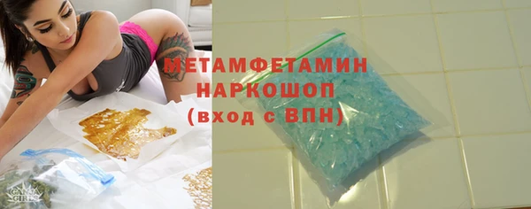 индика Володарск