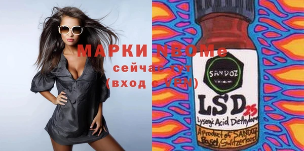 индика Володарск