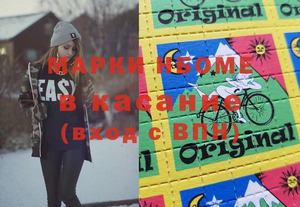 индика Володарск