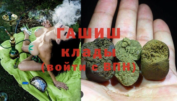индика Володарск