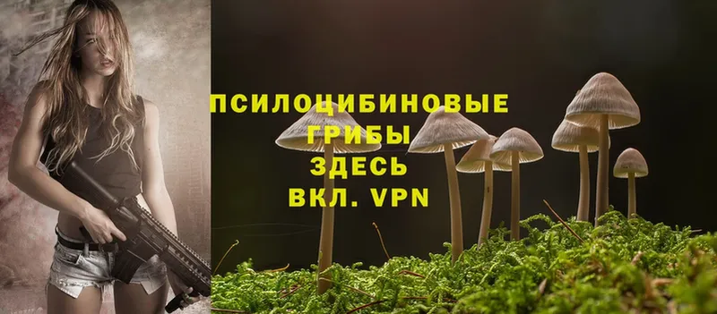 Псилоцибиновые грибы MAGIC MUSHROOMS  ОМГ ОМГ как зайти  Дорогобуж 