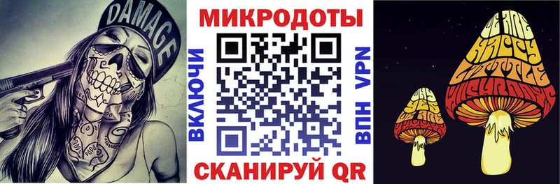 Псилоцибиновые грибы Cubensis  Дорогобуж 