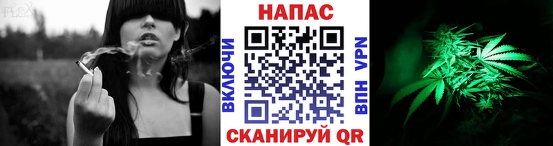 где можно купить Дорогобуж Бошки марихуана сатива